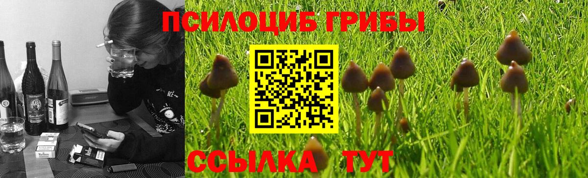 Галлюциногенные грибы MAGIC MUSHROOMS Южно-Сахалинск