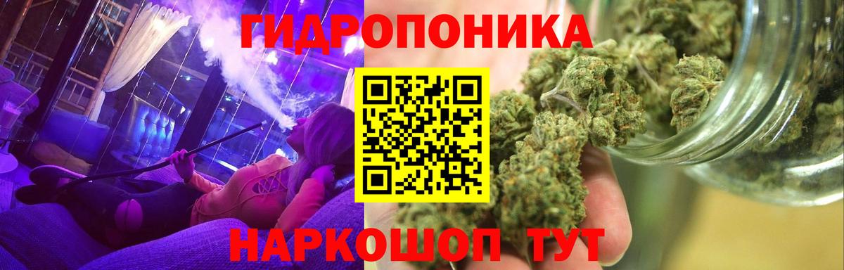 Южно-Сахалинск  Канабис ГИДРОПОН  Бошки Шишки Ganja  Марихуана план  Вход с VPN 